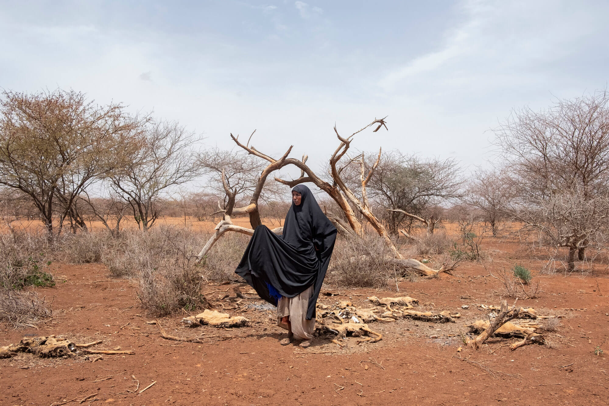 Life In Drought Affected Wajir Kenya Oxfam Canada   RS339802 Diyaara Wajir Drought Lpr 1 